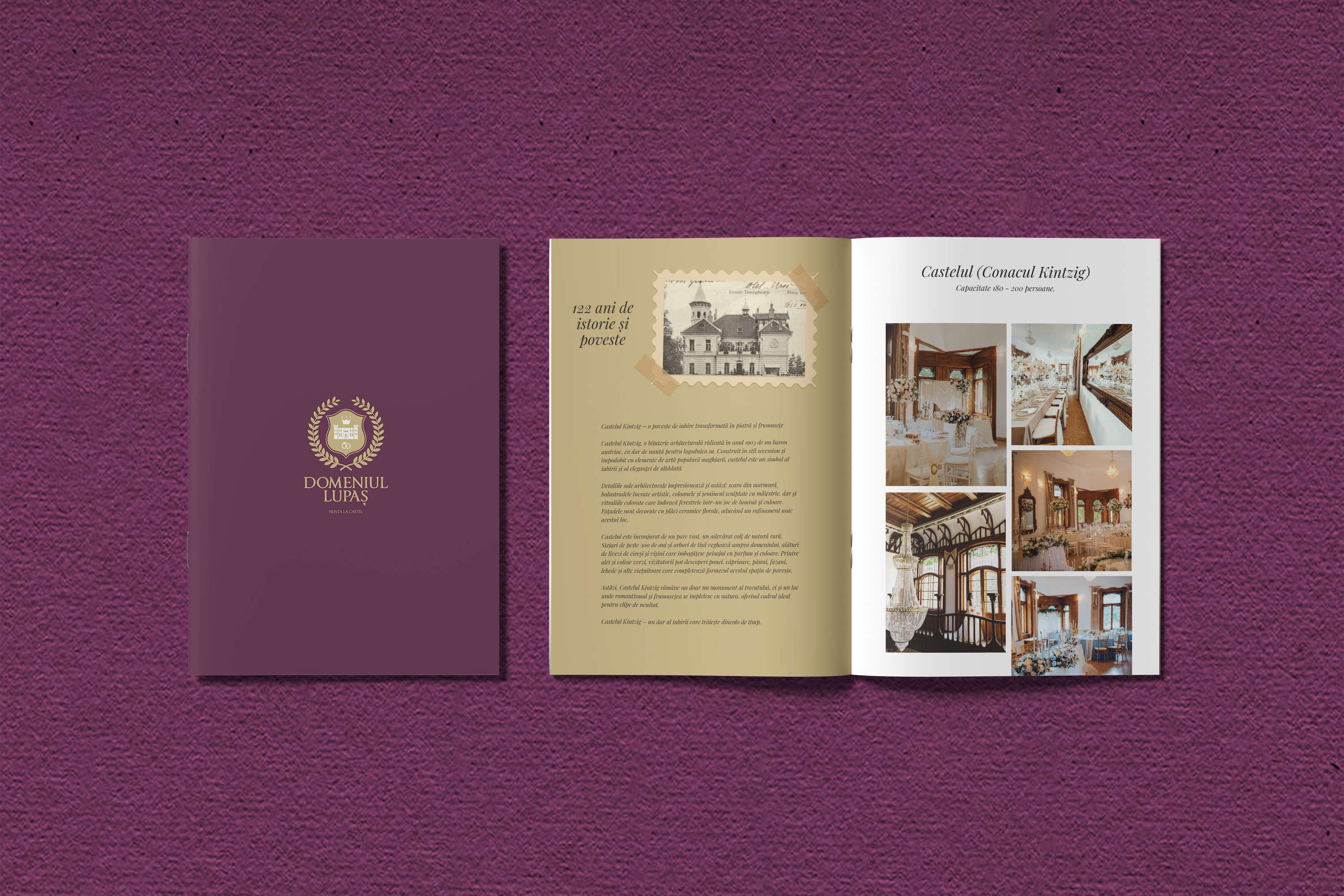 Materiale tipărite Domeniul Lupaș — broșură și materiale de prezentare, Invento Arad