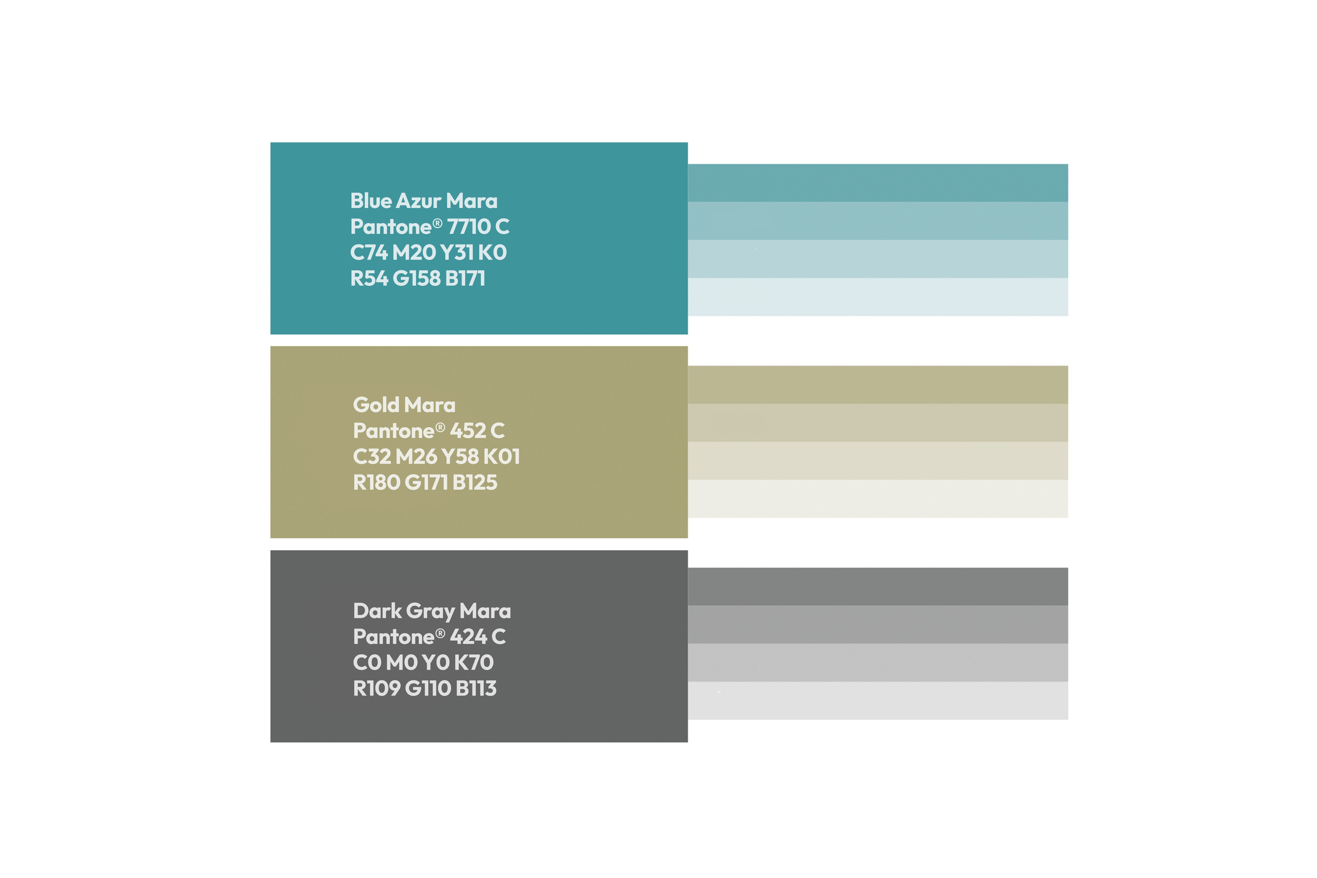 Gamă cromatică City of Mara Timișoara — paletă culori identitate vizuală, Invento Arad