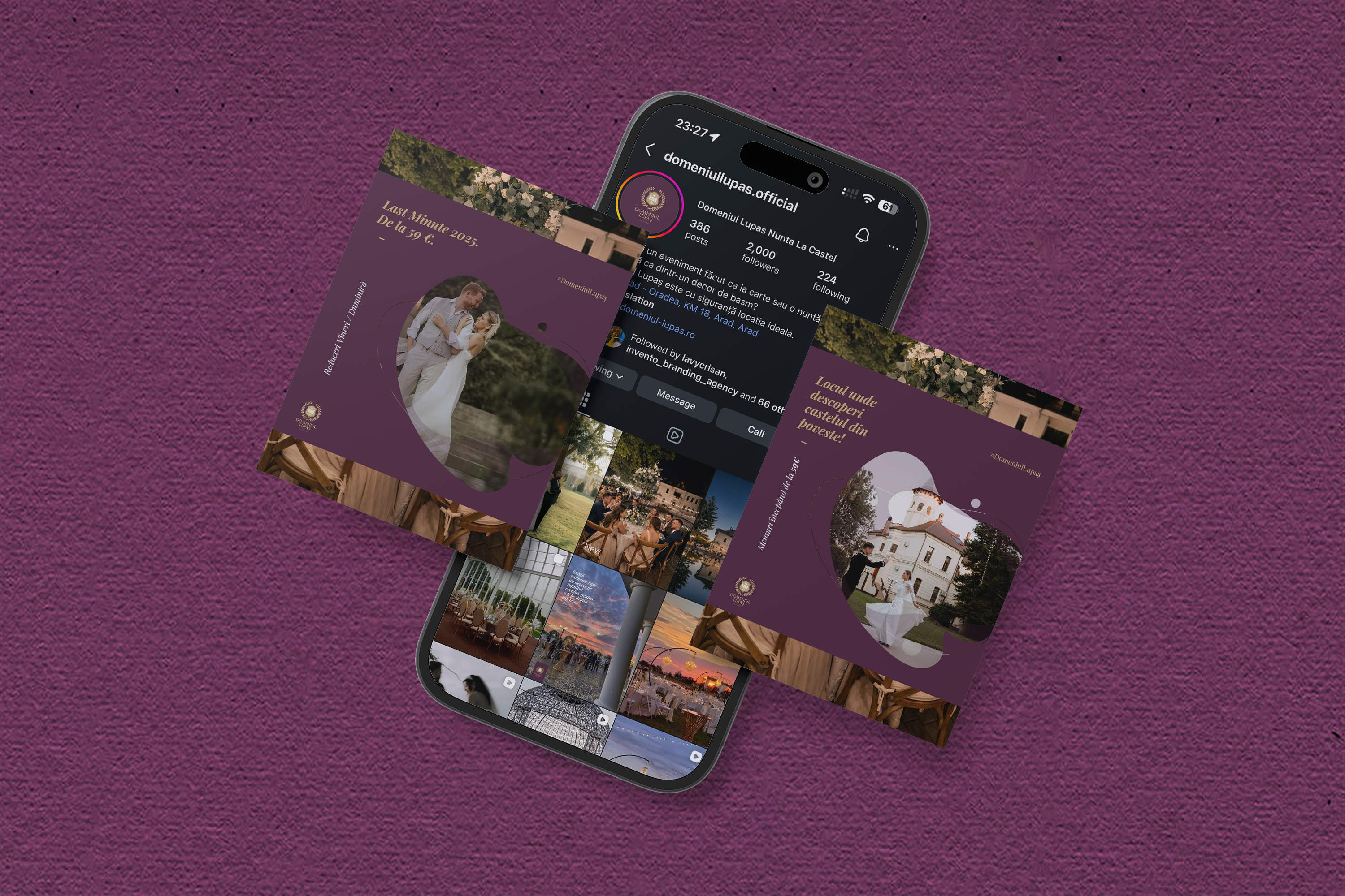 Domeniul Lupaș - Rebranding